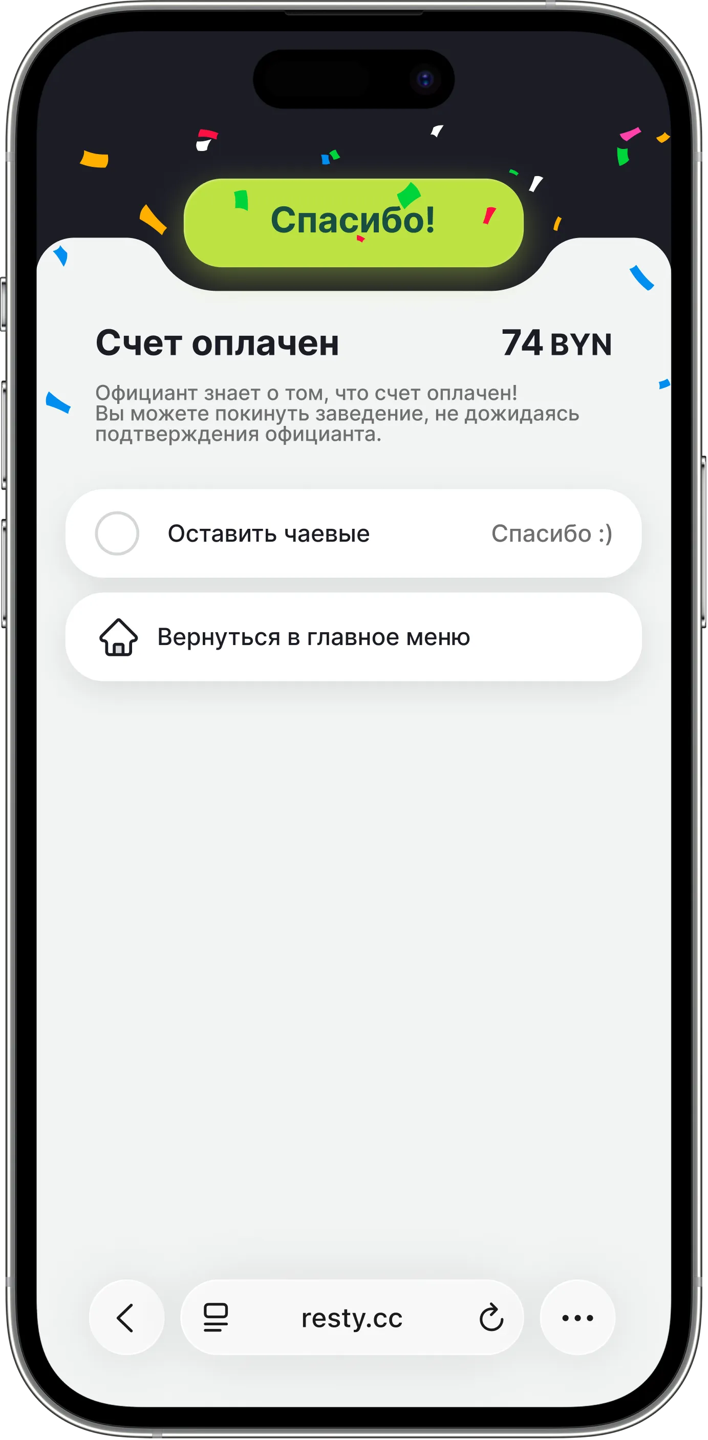 Экран успешной оплаты